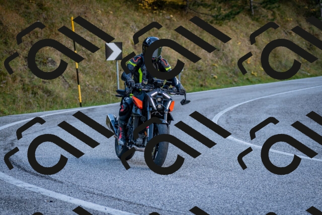 202510191258-DSC_9392_c2