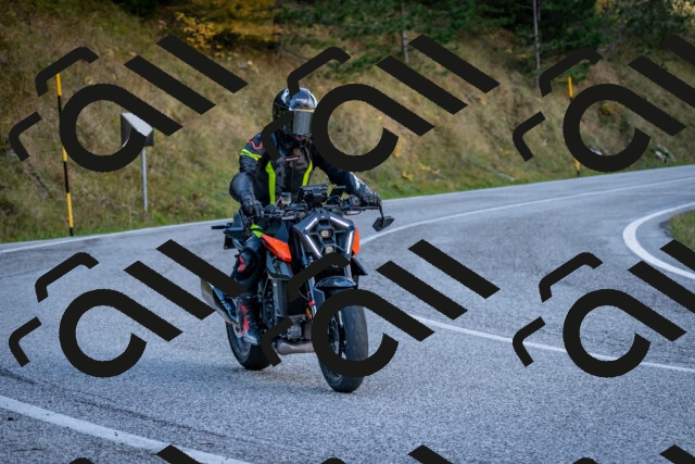 202510191258-DSC_9393_c2