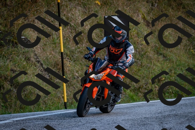 202510191258-DSC_9394_c2