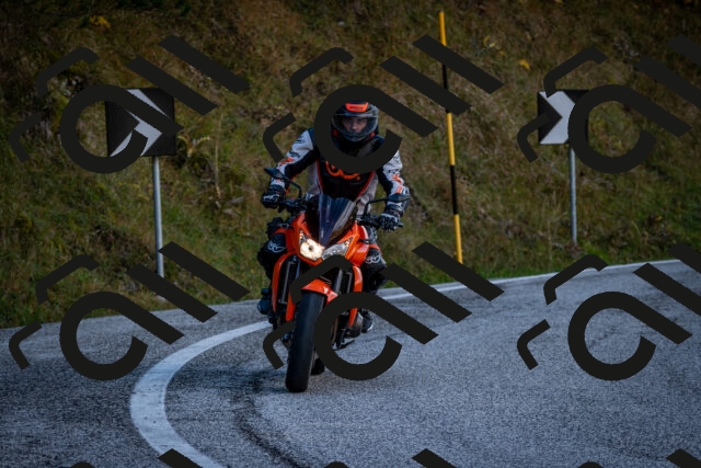 202510191258-DSC_9395_c2