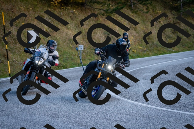 202510191259-DSC_9396_c2