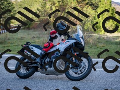 202510191259-DSC_9398_c2