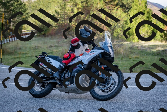 202510191259-DSC_9398_c2