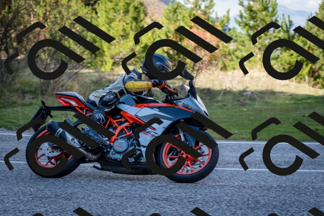 202510191259-DSC_9399_c2