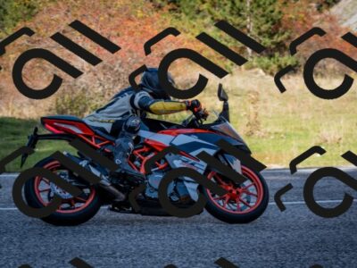 202510191259-DSC_9400_c2