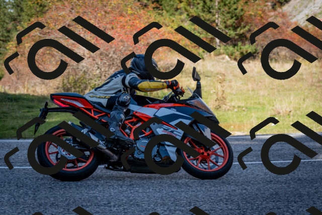 202510191259-DSC_9400_c2