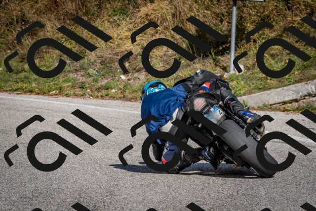 202510191259-DSC_9403_c2