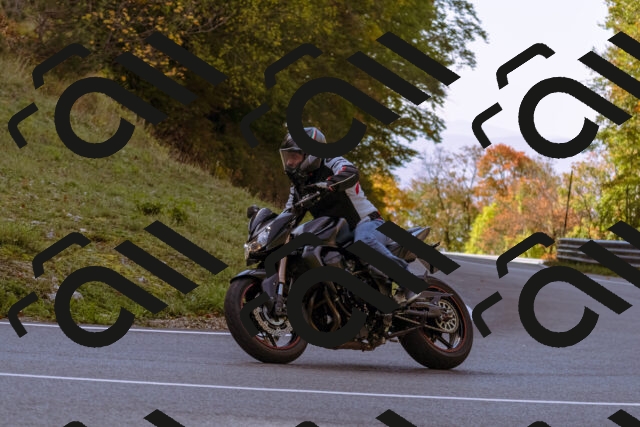 202510191104-_DSC1607_d1_