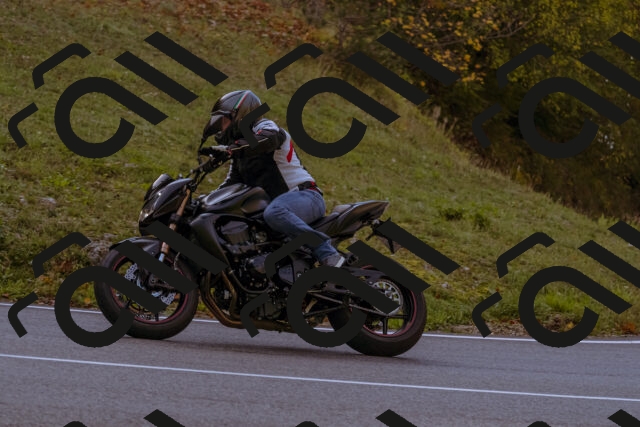 202510191104-_DSC1608_d1_