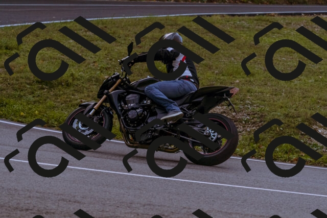 202510191104-_DSC1610_d1_