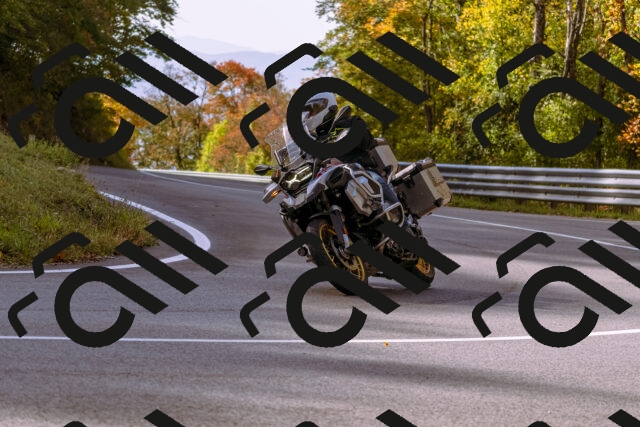 202510191113-_DSC1611_d1_