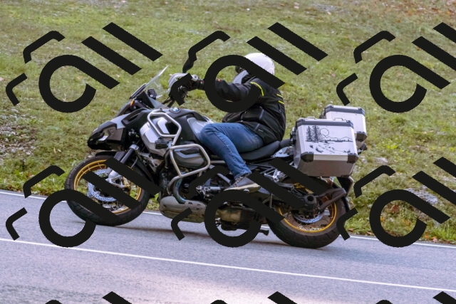 202510191113-_DSC1614_d1_