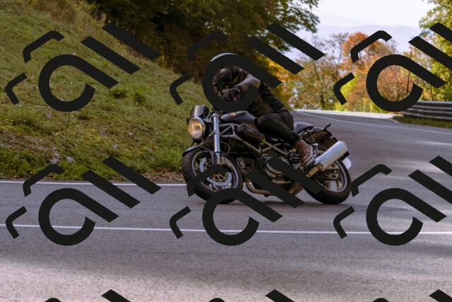 202510191113-_DSC1618_d1_