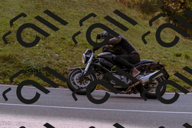 202510191113-_DSC1619_d1_