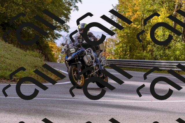 202510191113-_DSC1628_d1_