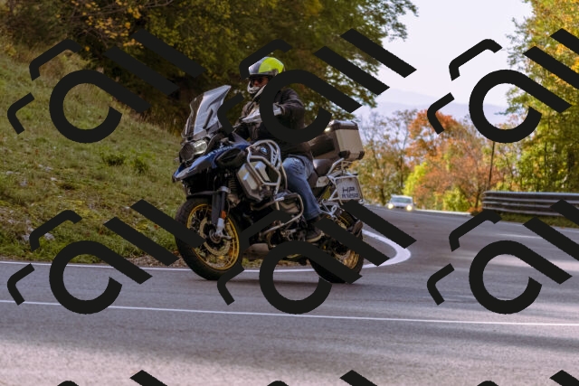 202510191113-_DSC1629_d1_