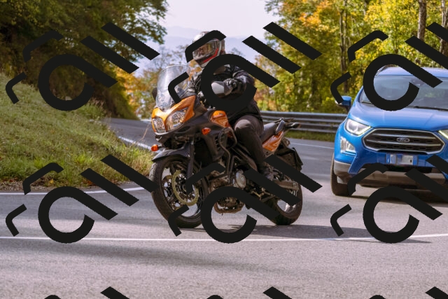 202510191119-_DSC1632_d1_