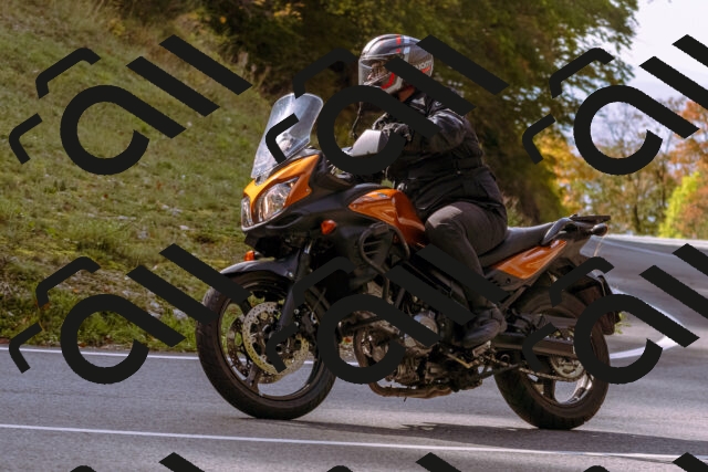 202510191119-_DSC1633_d1_