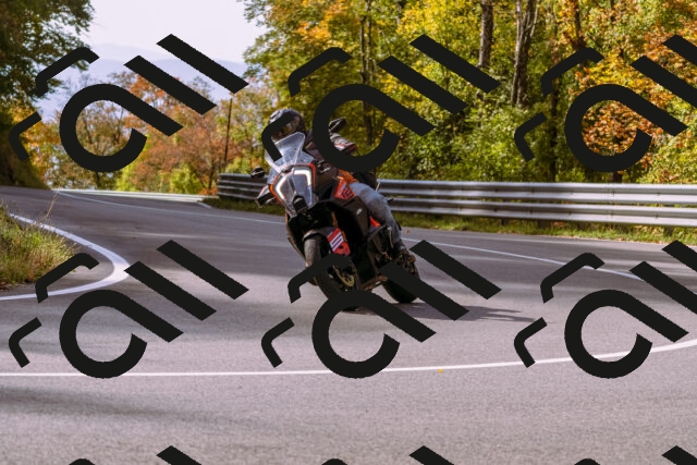 202510191119-_DSC1636_d1_