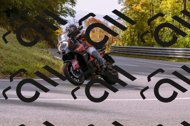 202510191119-_DSC1637_d1_