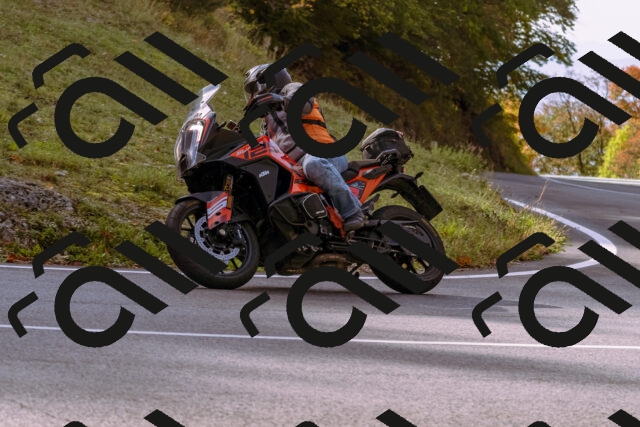 202510191119-_DSC1638_d1_