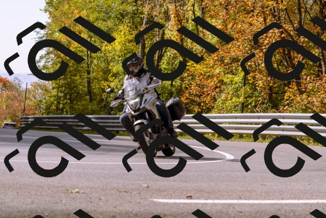 202510191130-_DSC1639_d1_