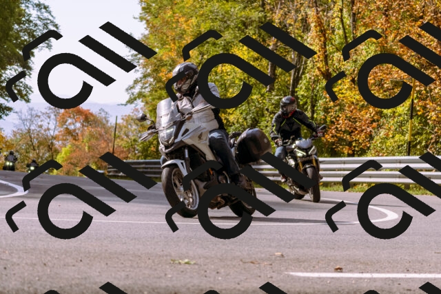 202510191130-_DSC1640_d1_