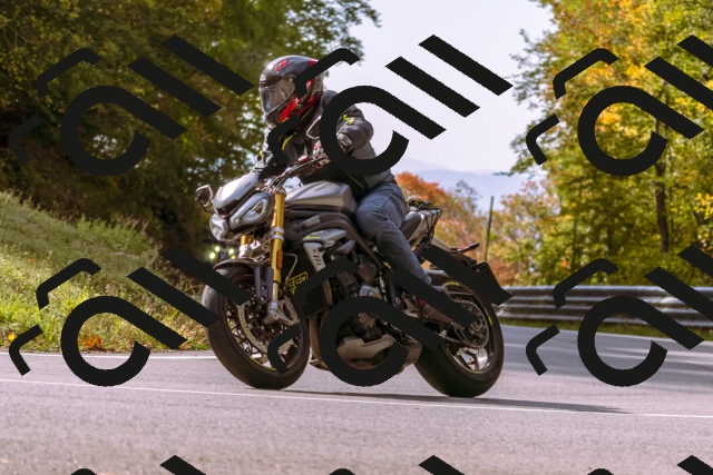 202510191130-_DSC1643_d1_