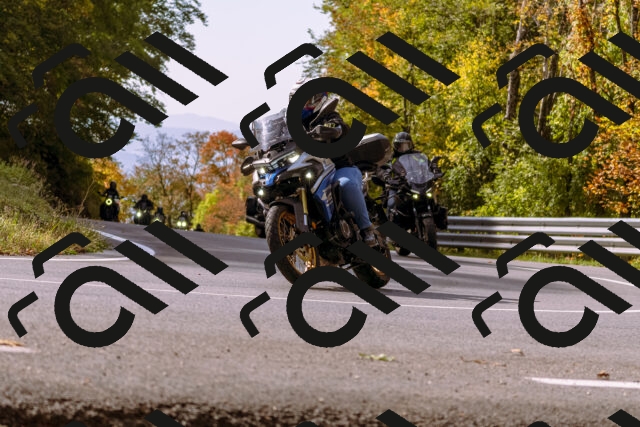 202510191130-_DSC1646_d1_