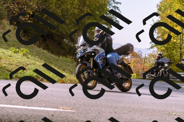 202510191130-_DSC1647_d1_