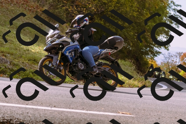 202510191130-_DSC1648_d1_