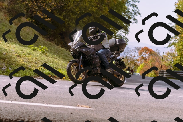 202510191130-_DSC1650_d1_