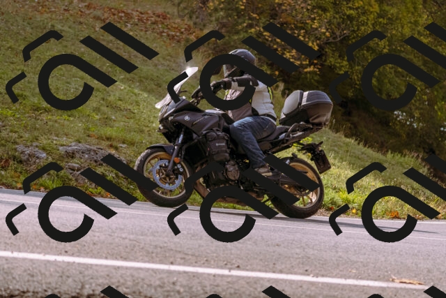 202510191130-_DSC1651_d1_