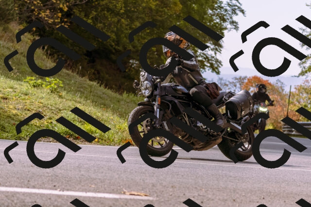 202510191130-_DSC1655_d1_