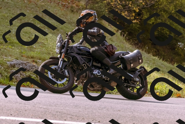 202510191130-_DSC1656_d1_