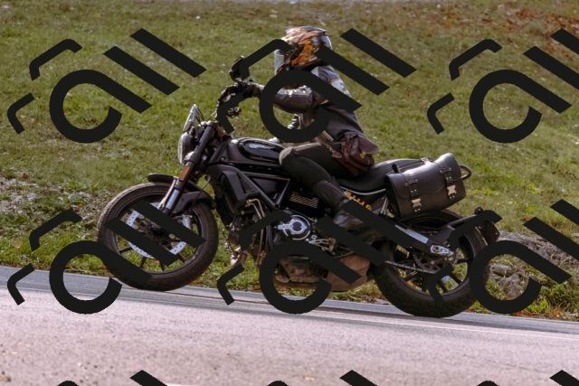 202510191130-_DSC1657_d1_