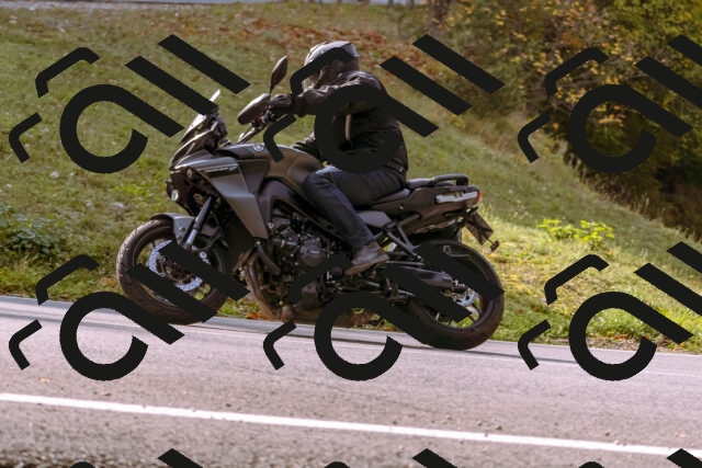 202510191130-_DSC1658_d1_