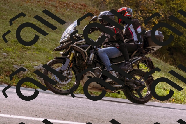 202510191130-_DSC1662_d1_