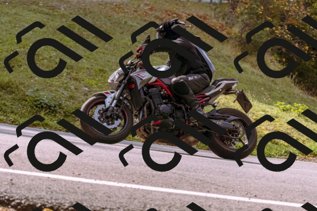 202510191130-_DSC1665_d1_