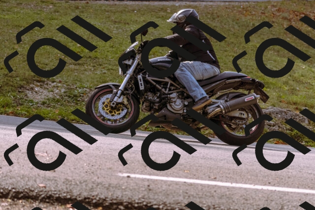 202510191131-_DSC1669_d1_