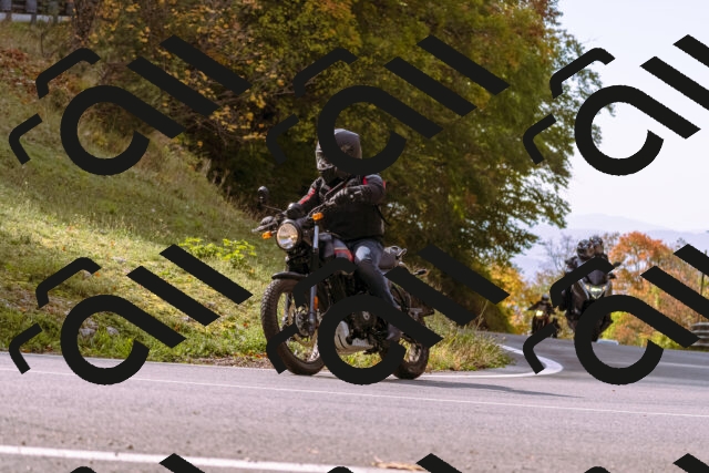 202510191131-_DSC1671_d1_