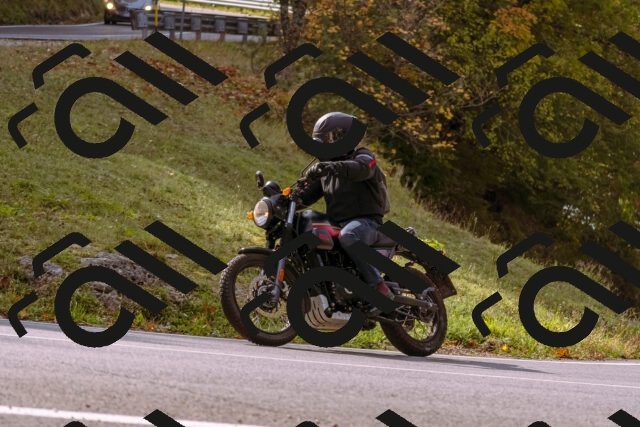 202510191131-_DSC1672_d1_