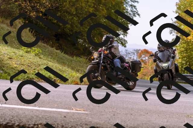 202510191131-_DSC1673_d1_