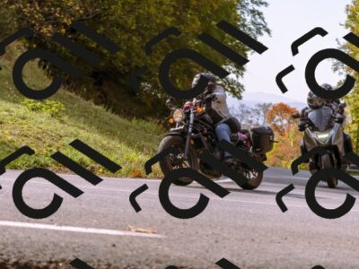 202510191131-_DSC1673_d1_