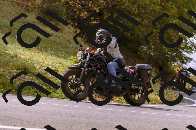 202510191131-_DSC1674_d1_