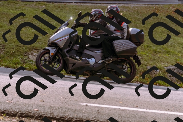 202510191131-_DSC1678_d1_