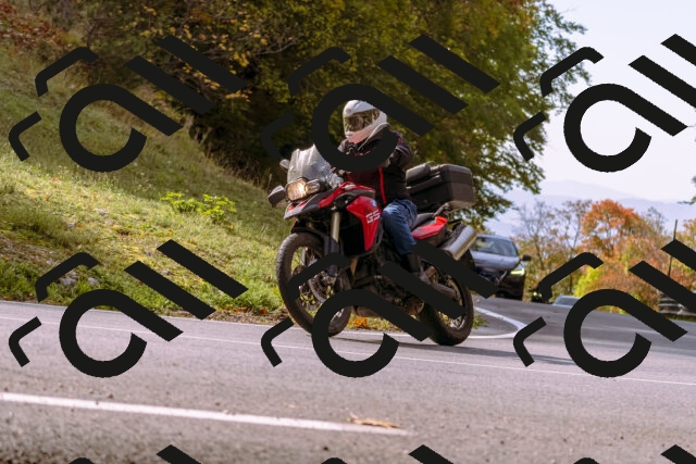 202510191131-_DSC1679_d1_