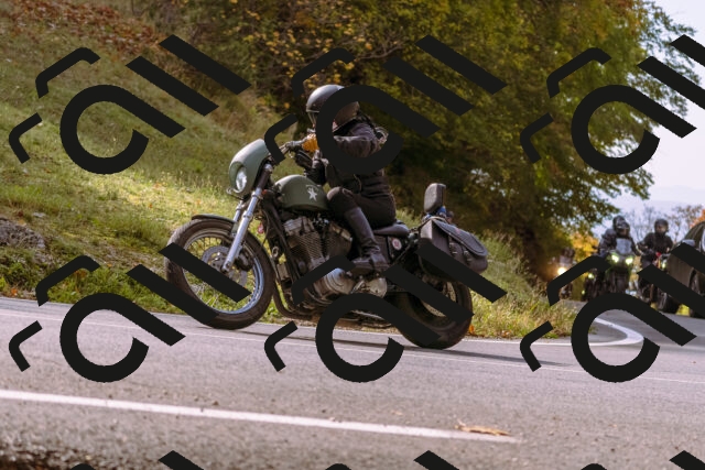 202510191131-_DSC1682_d1_