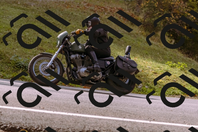 202510191131-_DSC1683_d1_