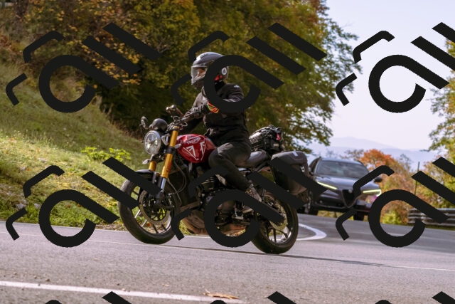 202510191131-_DSC1685_d1_